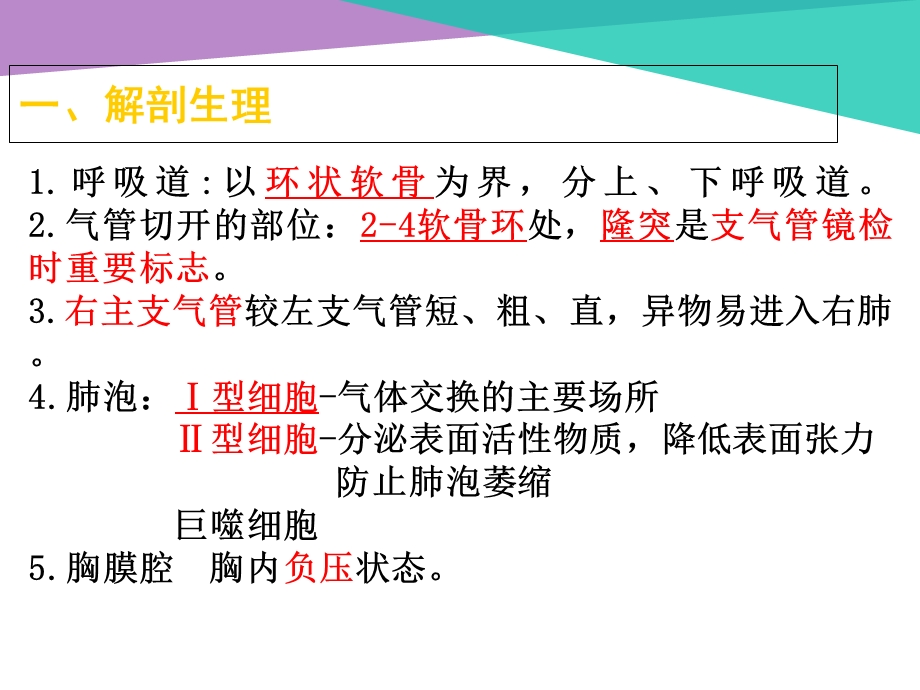 《护考呼吸系统》PPT课件.ppt_第2页