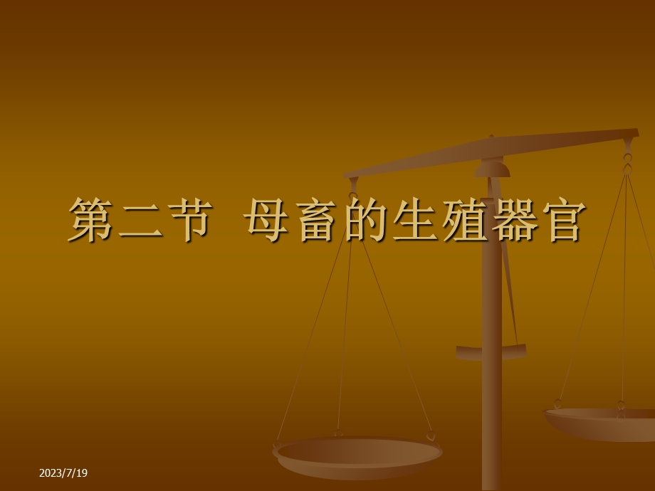 《母畜生殖器官》PPT课件.ppt_第1页