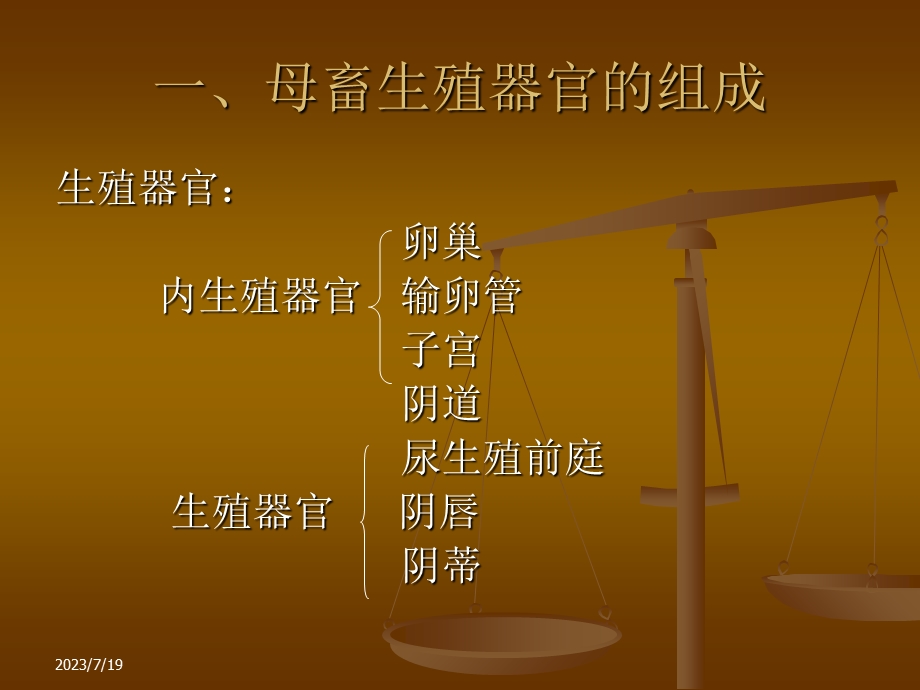 《母畜生殖器官》PPT课件.ppt_第2页