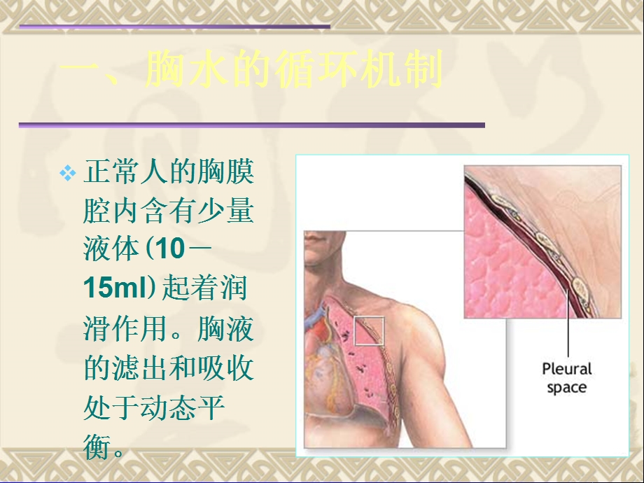 《胸腔积液大讲》PPT课件.ppt_第2页