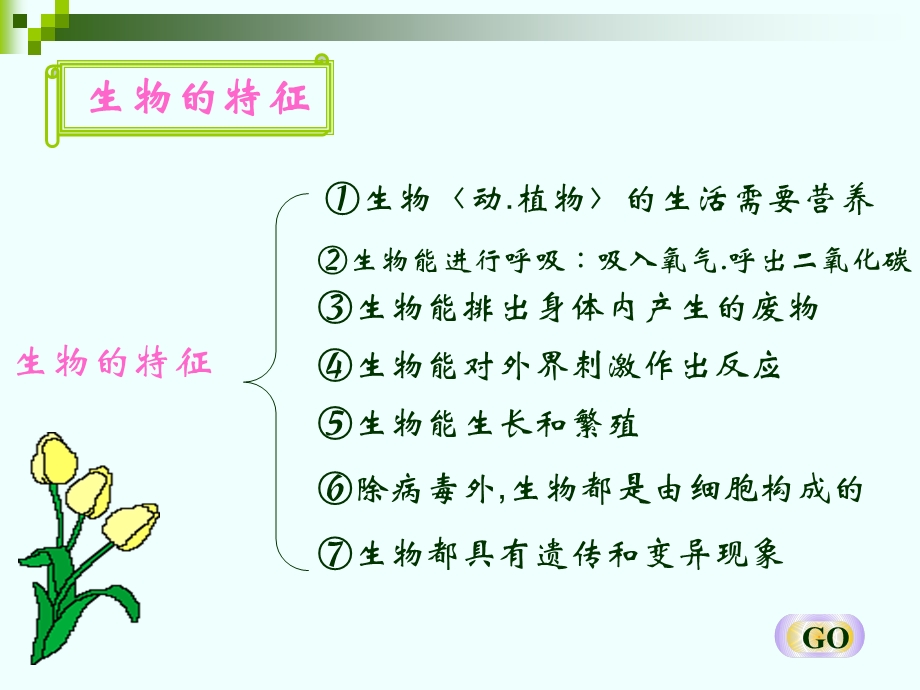 《生物上册期中复习》PPT课件.ppt_第2页