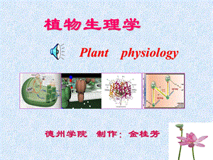 《植物生理学之逆境》PPT课件.ppt