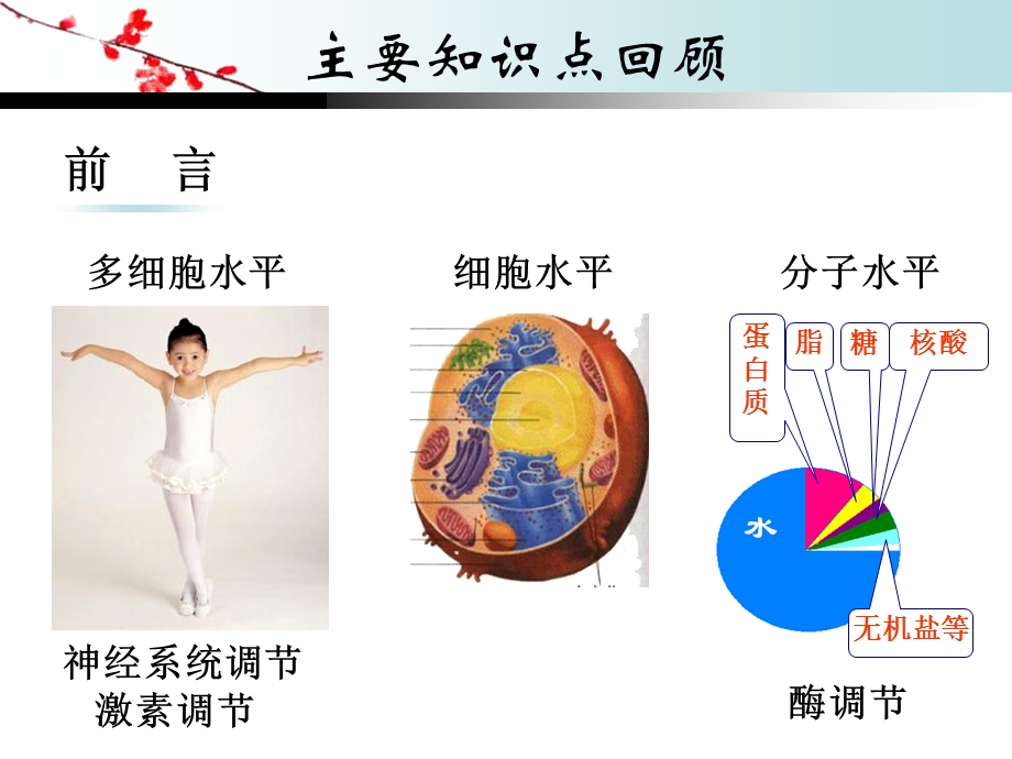 《生化考前复习》PPT课件.ppt_第2页