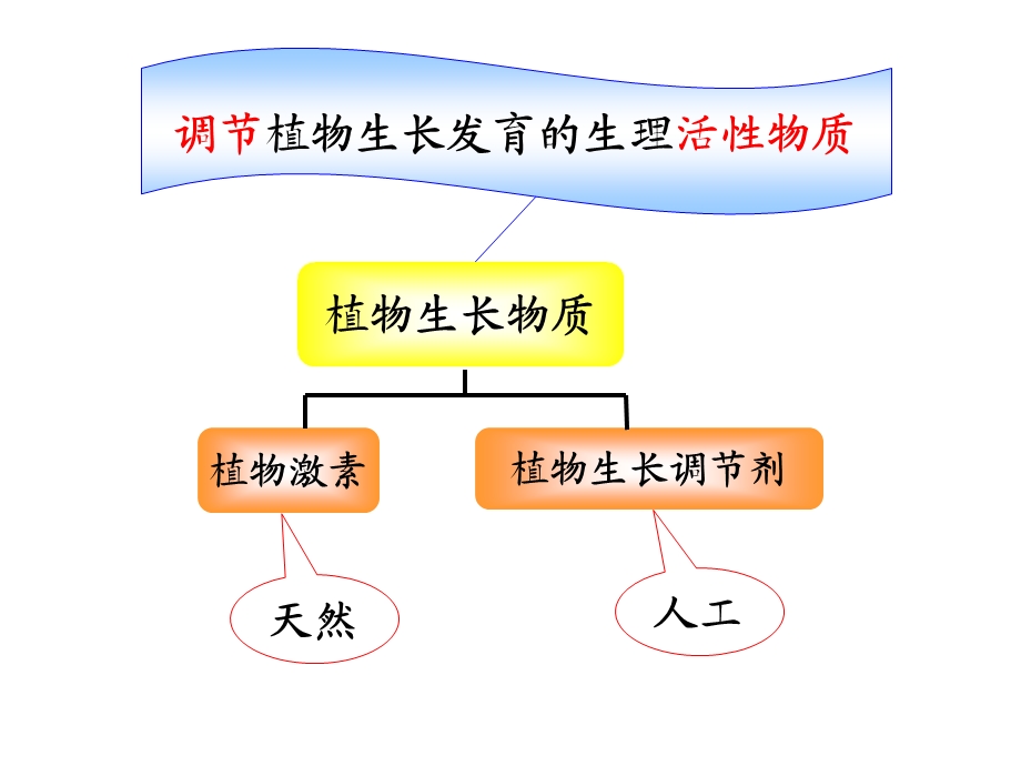 《植物生长物质》PPT课件.ppt_第2页