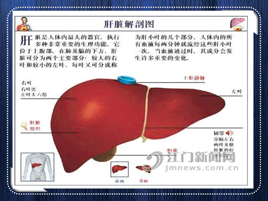 《肝癌宣教》PPT课件.ppt_第2页