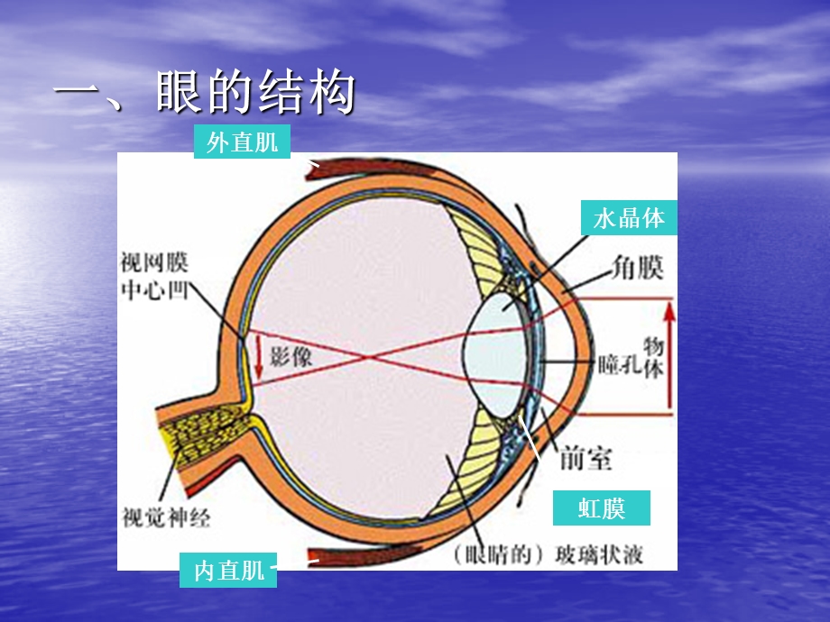 《特殊儿童教育》PPT课件.ppt_第3页