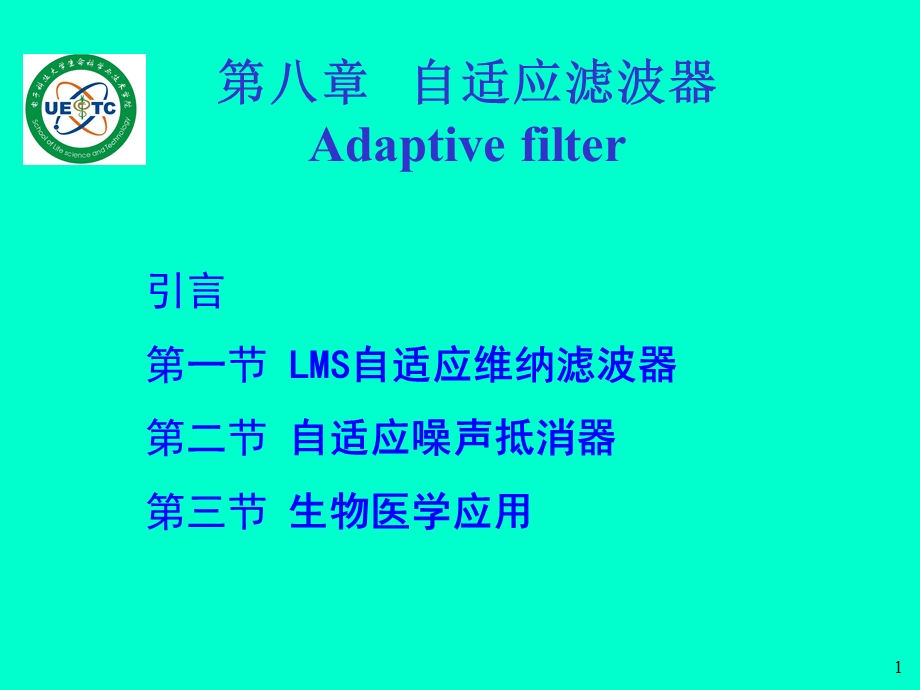 《自适应滤波器 》PPT课件.ppt_第1页