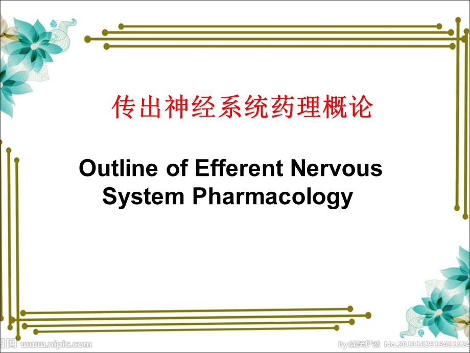 《传出神经系统概论》PPT课件.ppt_第1页