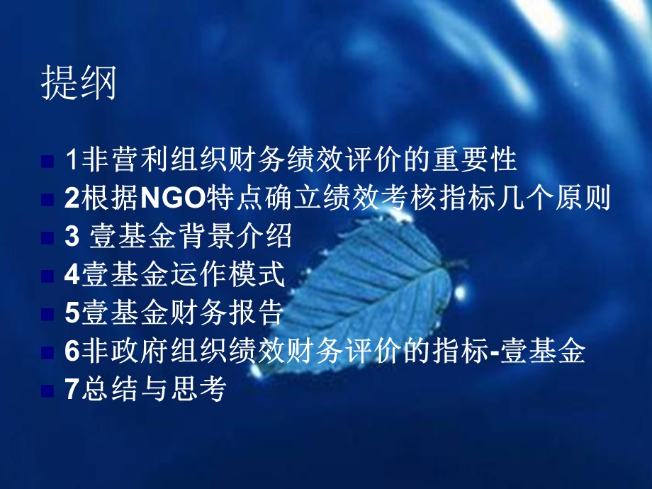 NGO组织的财务绩效分析.ppt_第2页