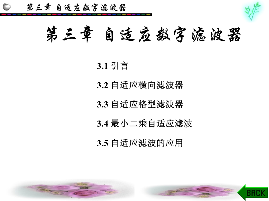 《自适应滤波器》PPT课件.ppt_第1页