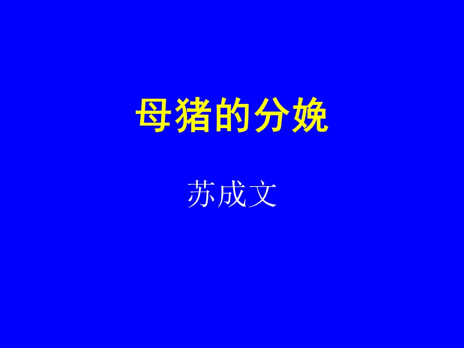 《母猪的分娩》PPT课件.ppt_第1页