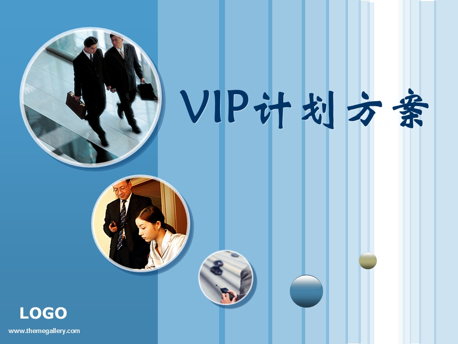 《VIP计划方案》PPT课件.ppt_第1页