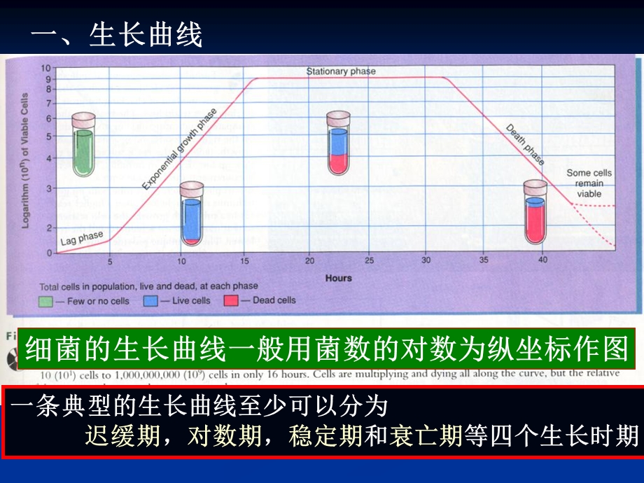 《生长控制》PPT课件.ppt_第3页