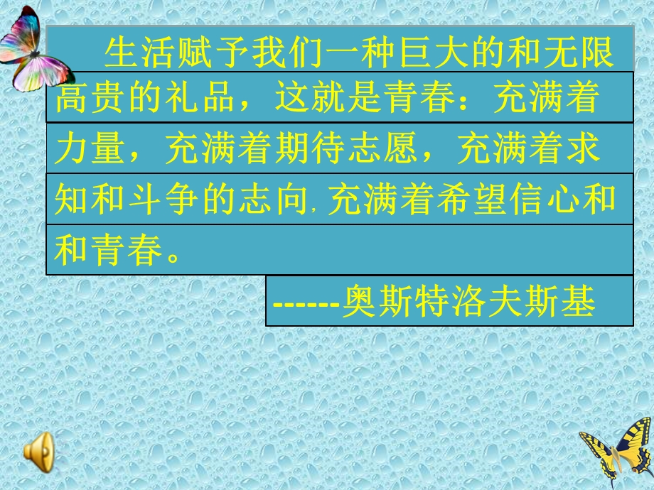 《放飞职业梦想》PPT课件.ppt_第2页