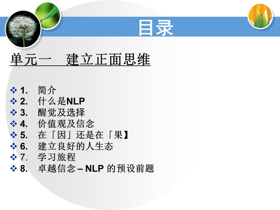 NLP培训专业课程.ppt_第2页