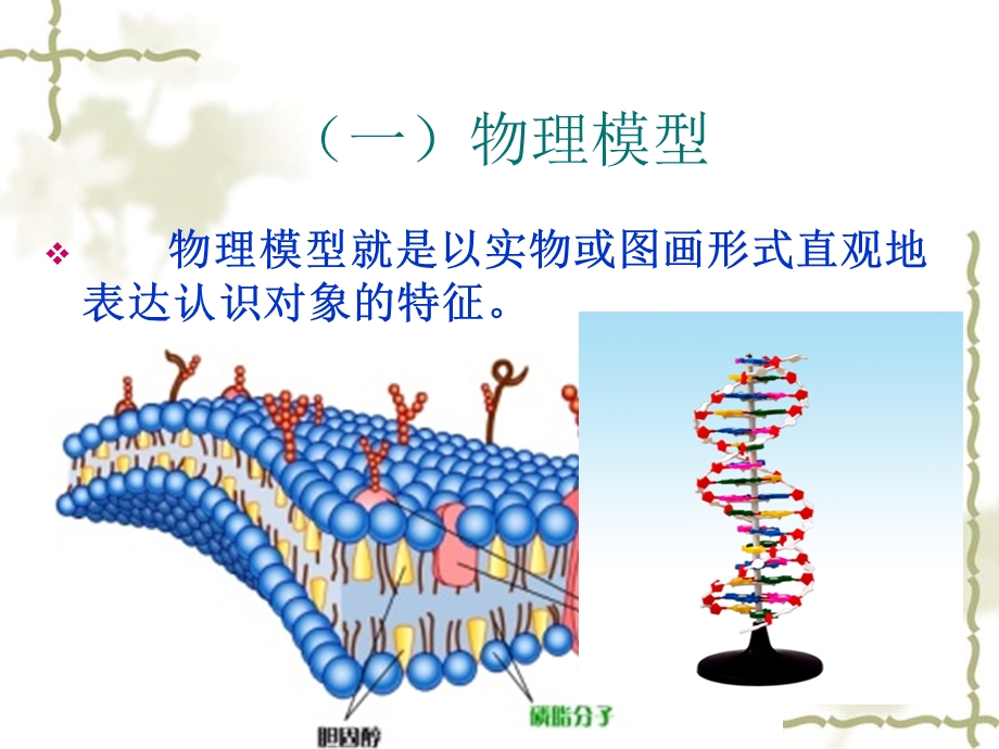 《模型构建定》PPT课件.ppt_第3页