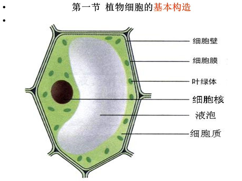 《细胞执行》PPT课件.ppt_第2页