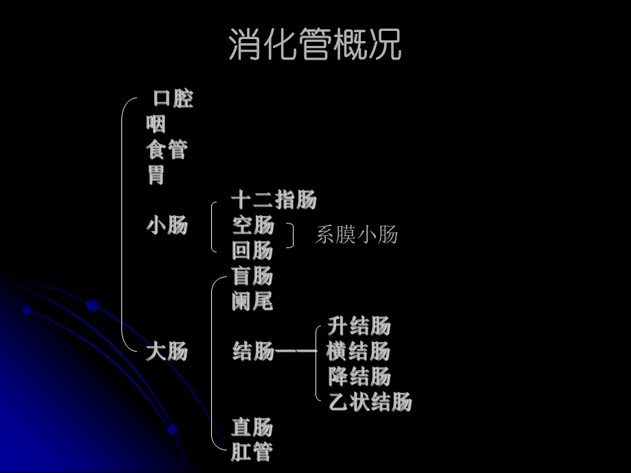 《空肠与回肠》PPT课件.ppt_第3页