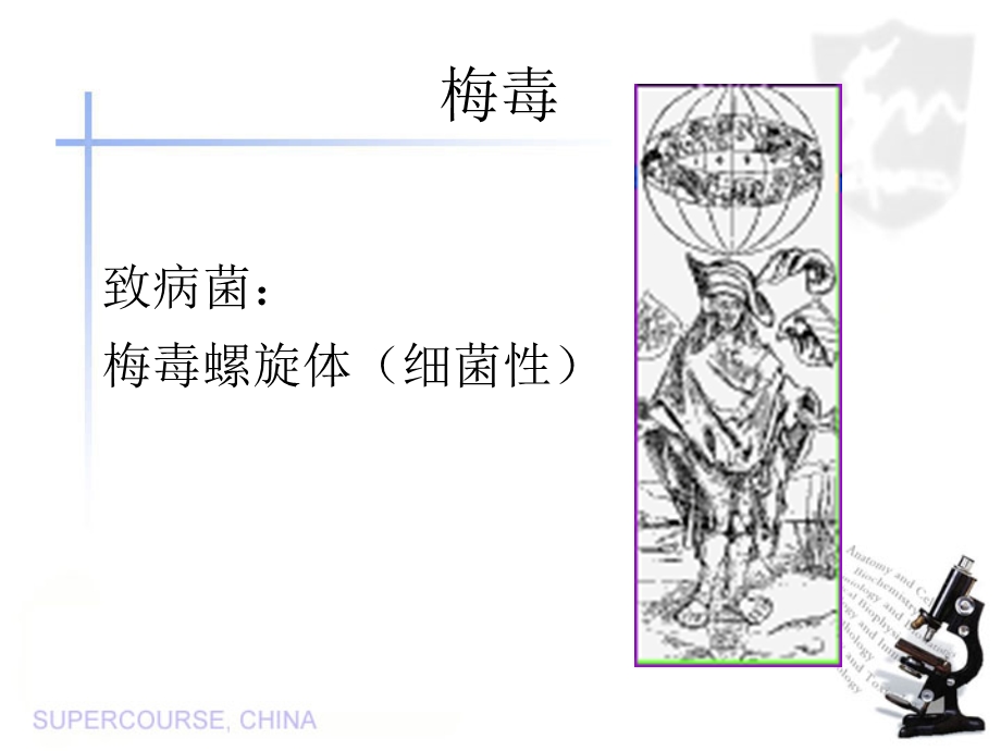 新生儿淋病.ppt_第2页