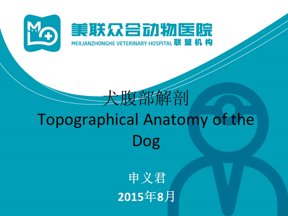 《犬腹部解剖》PPT课件.ppt_第1页