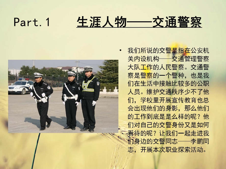 《生涯人物访谈》PPT课件.ppt_第3页