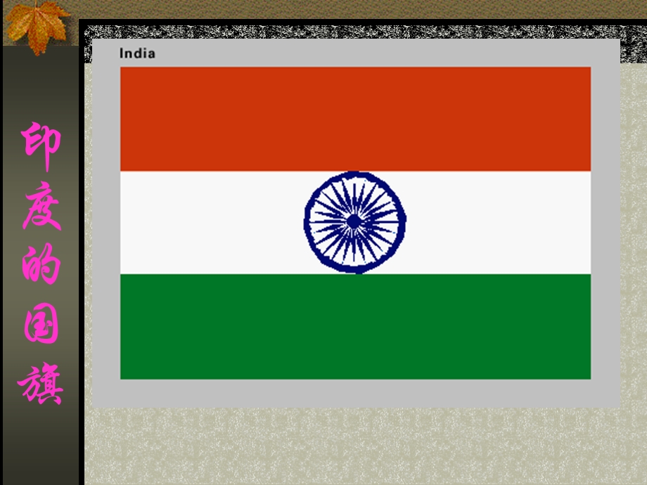 印度的国旗.ppt_第1页