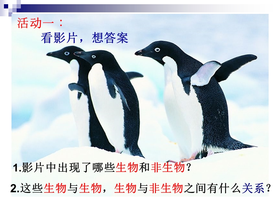 《生态系统 》PPT课件.ppt_第2页