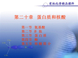 医学课件第二十章蛋白质和核酸.ppt