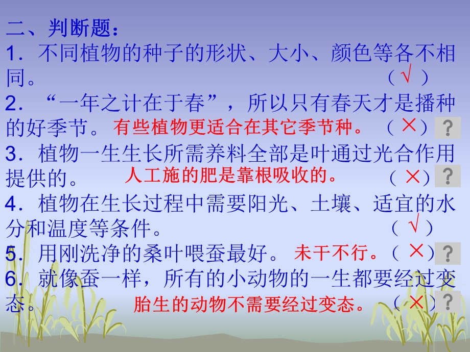 三年级下册科学课件期末分类复习判断 教科版 (共11张PPT).ppt_第2页