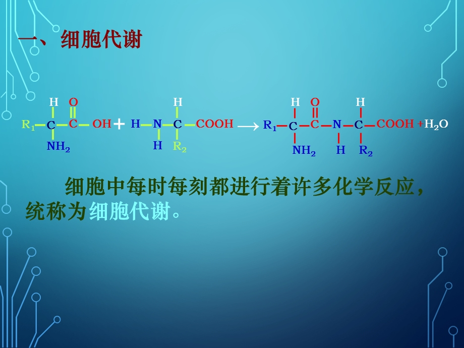 《降低化学反应活化能的酶》.ppt_第3页