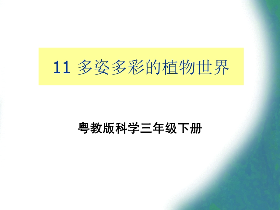 三年级下册科学课件11 多姿多彩的植物世界｜粤科版 (共12张PPT).ppt_第1页