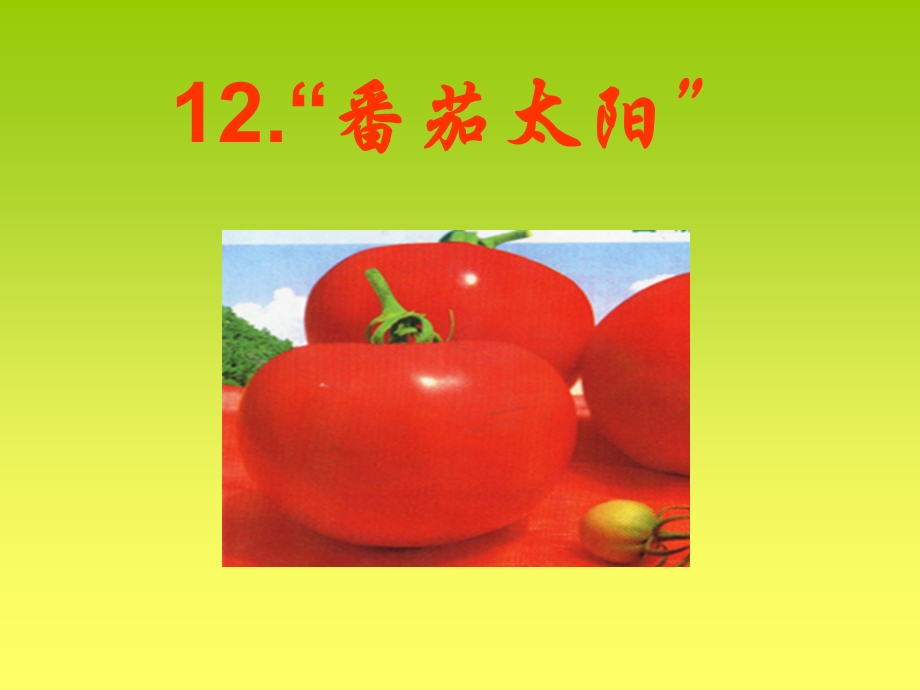 12.“番茄太阳”课件[精选文档].ppt_第1页