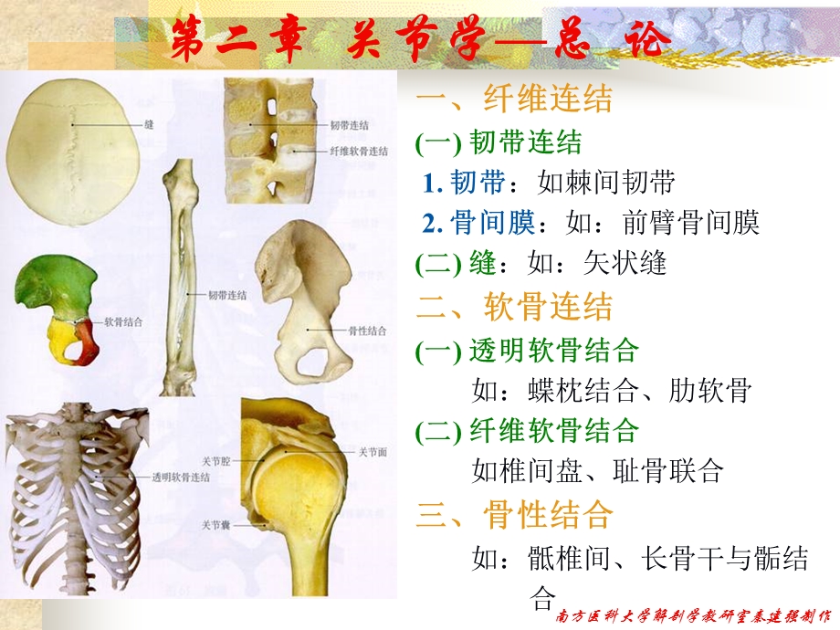 10关节学分析课件精选文档文档资料.ppt_第2页