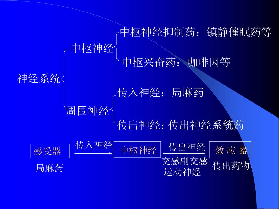 医学课件第二章作用于传出神经系统的药物.ppt_第2页