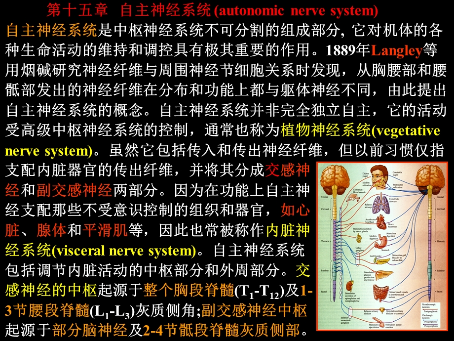 医学课件神经生物学十五十六ppt课件.ppt_第1页