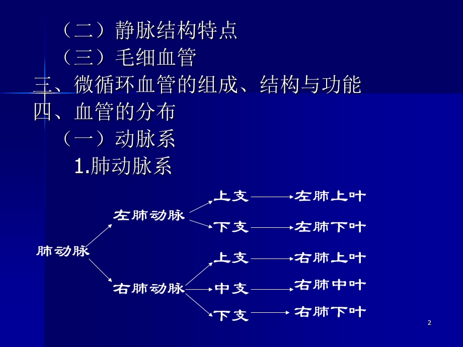 71第三节血管PPT文档.ppt_第2页