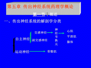 医学课件第五部分传出神经系统药理学概论教学课件.ppt