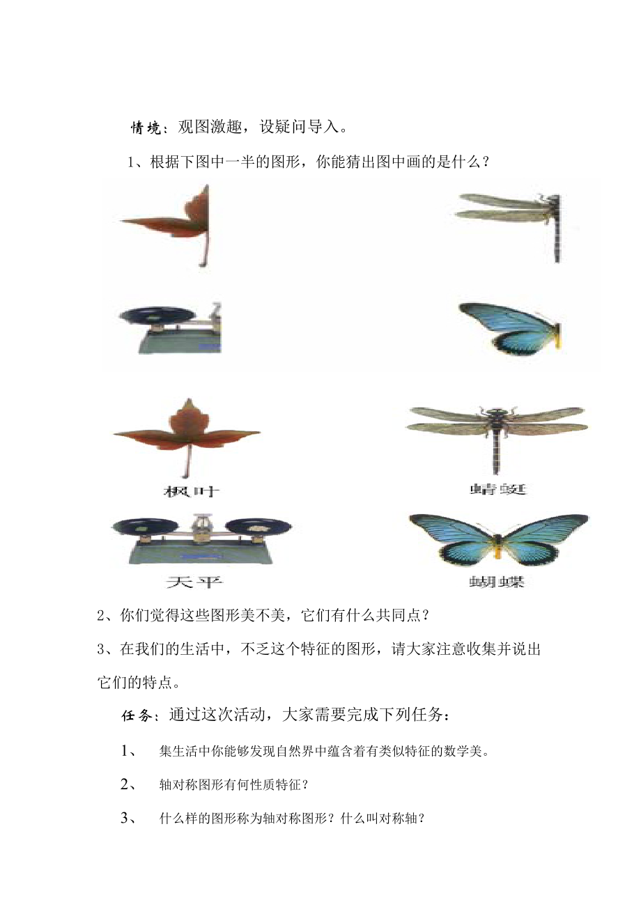 轴对称的美—探究型教学设计[精选文档].doc_第2页