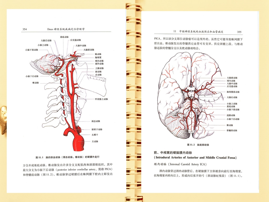 医学课件神经系统疾病定位诊断学中枢神经系统的血液供应和血管病变.ppt_第2页
