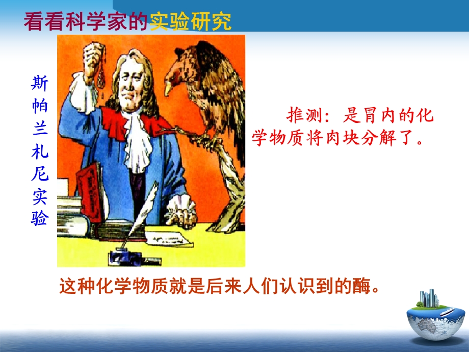 《降低化学反应活化能的酶》课件.ppt_第3页