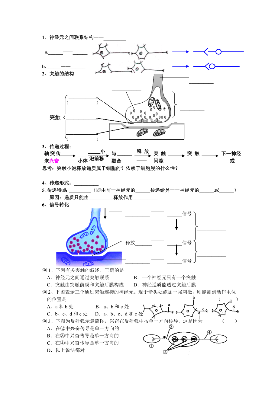 2.1通过神经系统的调节试题姜云祥[精选文档].doc_第3页