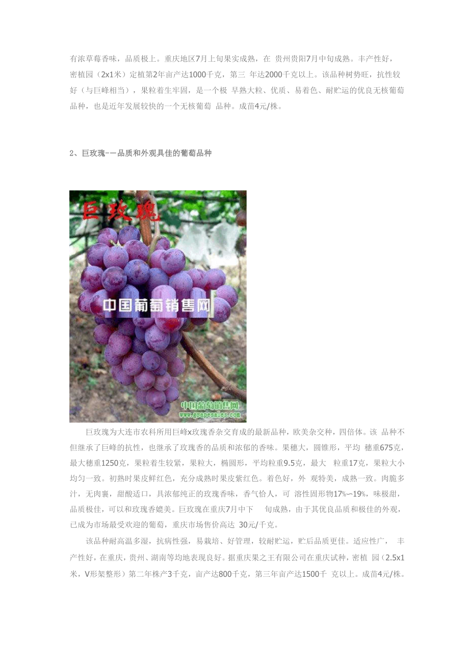 2011年葡萄品种介绍三.docx_第2页