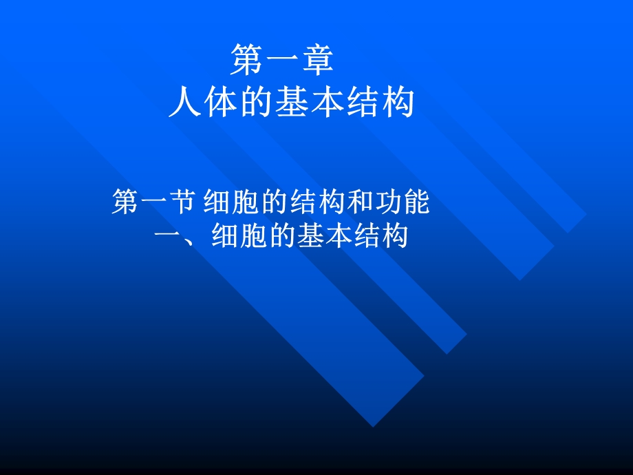 人体解剖学课件第一章人体基本结构.ppt_第1页