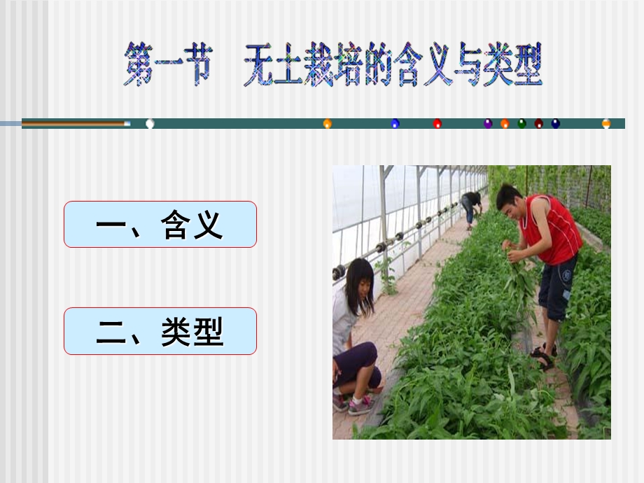 《无土栽培技术概述》PPT课件.ppt_第3页