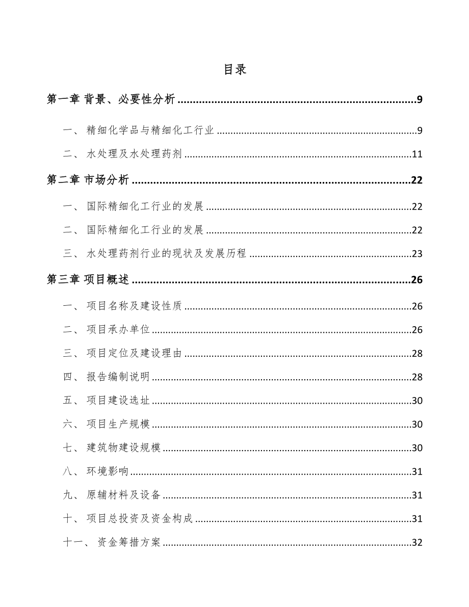 南昌水处理药剂项目可行性研究报告.docx_第2页