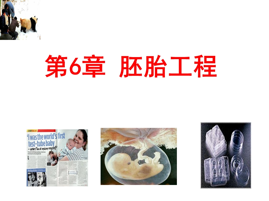 《胚胎工程定》PPT课件.ppt_第1页