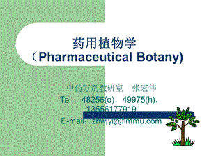 药用植物学PharmaceuticalBotany.ppt
