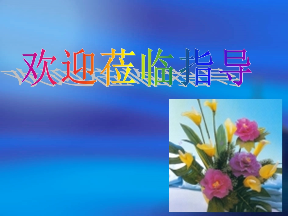 《欢迎莅临指导》PPT课件.ppt_第1页