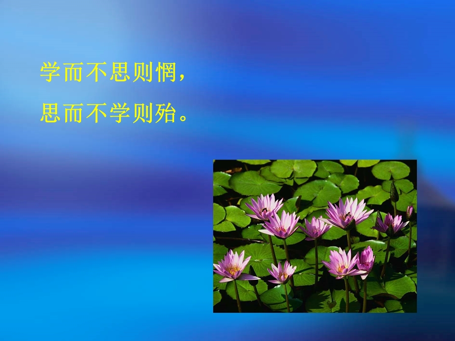 《欢迎莅临指导》PPT课件.ppt_第3页