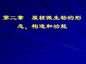 《微生物原核》PPT课件.ppt